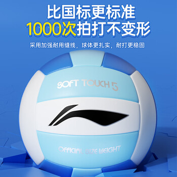 李宁（LI-NING）排球【中考训练】比赛专用标准初中生成人儿童训练沙滩硬排5号球