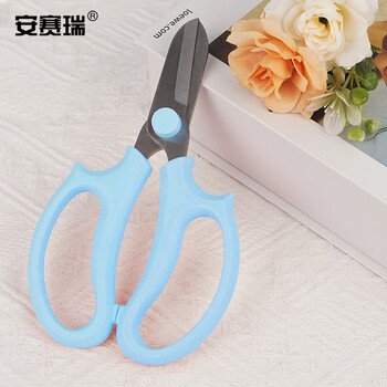 安赛瑞 不锈钢鲜花修剪刀 家用绿植盆栽修枝园艺工具 蓝色 5J00478 JC