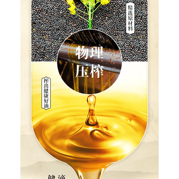 金龙鱼洗洁精生姜净味480G+金龙鱼非转基因本香菜籽油1.8L