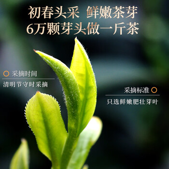 一杯香茶叶红茶武夷山金骏眉500g新茶礼盒装送礼自己喝自饮小种正山古树 一杯香茶叶红茶武夷山金骏眉500g新茶礼盒装送礼自己喝自饮小种正山古树