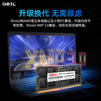 GEIL金邦 16G DDR5-5200  笔记本内存条 千禧系列