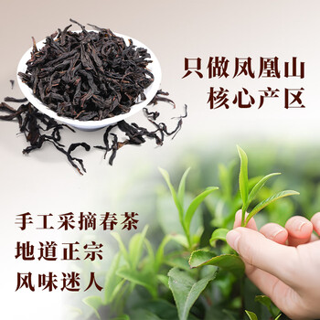正山顶乌龙茶凤凰单枞蜜兰香一级500g纸包实惠口粮单丛茶自己喝