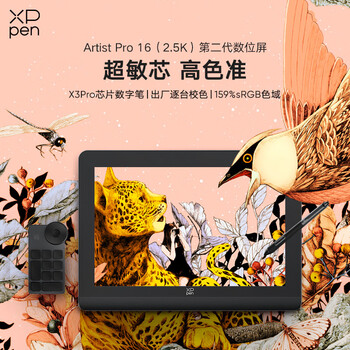 XPPen Artist Pro 16(Gen2) 数位屏 电脑绘画专业手绘屏 数位板 手写板连电脑画板手绘板绘画板