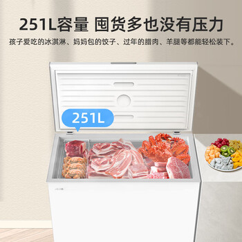 美菱251升商用家用冰柜机械控温大容量冷藏冷冻转换减霜一级能效BC/BD-251DTX 金刚内胆 美菱251升商用家用冰柜机械控温大容量冷藏冷冻转换减霜一级能效BC/BD-251DTX 金刚内胆