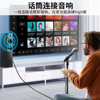 晶华 6.5mm转卡侬公对母音频线 6.35大三芯音质清晰平衡麦克风话筒调音台音响箱功放连接线 3米 A155H