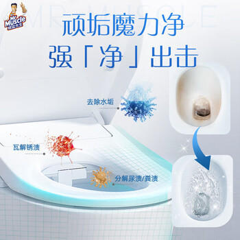 威猛先生（Mr Muscle）强效洁厕液 卫生间马桶清洁 除垢去渍去异味 丁香香型 600g*2瓶