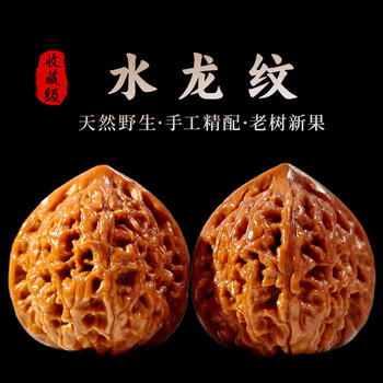 文玩堂：核桃（水龙纹）精品 文玩核桃水龙纹- Top 100件文