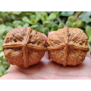 文玩四棱核桃品牌及商品- 京东