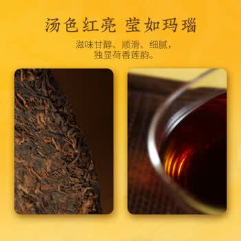 大益TAETEA茶叶普洱茶熟茶50周年纪念金针白莲357g2301批次 高品熟茶