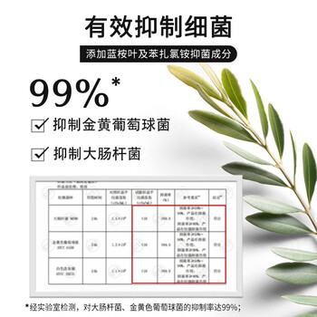 绽家家用地板清洁剂 地板水拖地去渍留香750ml*2+补充装750ml 抑菌