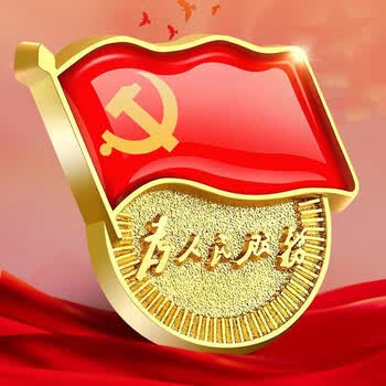 欧唛（oumai）标准党徽 锌合金镀金 双磁扣 磁吸佩戴 党建用品 2枚装 党员活动必备 党员徽章