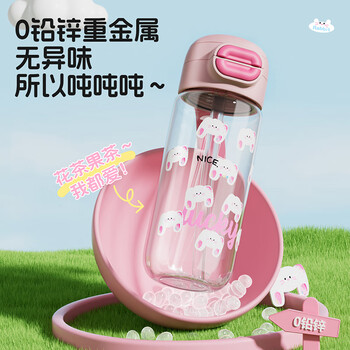 炊大皇玻璃水杯女生高颜值大容量高硼硅耐热防爆耐高温530ml（粉兔子）