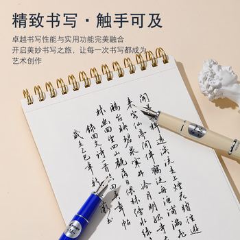 百乐（PILOT）PRERA珮尔娜钢笔彩色练字钢笔商务签字笔书法生日礼物FPR-3SR 灰色M尖