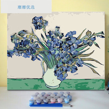数字油画鸢尾花价格报价行情- 京东