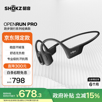 三味線用魃、象牙風 DZ95319520003 | 墨水
