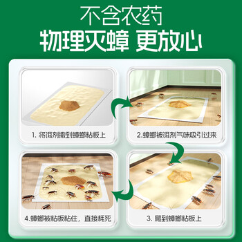 绿叶蟑螂粘板杀蟑螂杀蛮蠊家用蟑螂捕捉器带诱饵20片/盒19V1