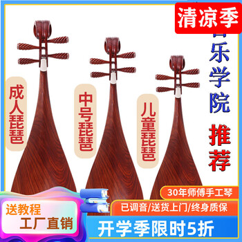 初学者琵琶价格报价行情- 京东