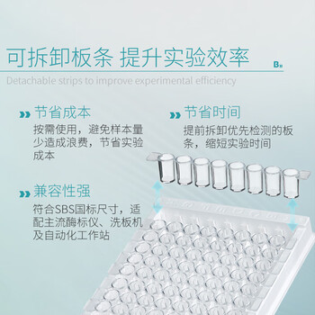 比克曼生物（BKMAM）酶标板96孔微孔板测荧光平底带盖可拆高吸附TC处理独立包装 【酶标板】透明8*F12连