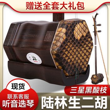 中国二胡（林生） hq720.jpg?sqp=-