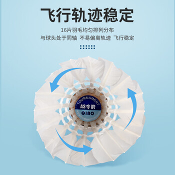 启傲令箭羽毛球室内外训练耐打羽球12只装 启傲令箭羽毛球室内外训练耐打羽球12只装