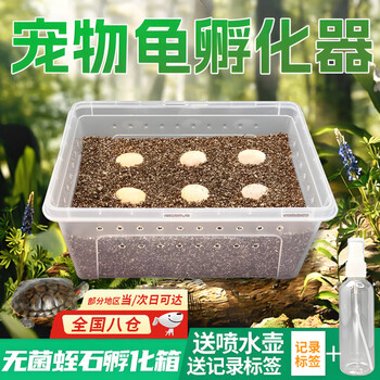 孵化箱乌龟型号规格- 京东
