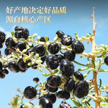 七春黑枸杞子茶青海柴达木免洗即食养生茶花青素母亲节长辈礼物150g 七春黑枸杞子茶青海柴达木免洗即食养生茶花青素母亲节长辈礼物150g