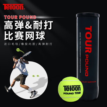 天龙(Teloon)网球比赛训练习用球高弹耐磨P4 TOUR pound 天龙(Teloon)网球比赛训练习用球高弹耐磨P4 TOUR pound