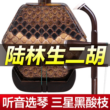 陆林生二胡价格- 京东