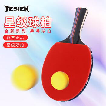 特斯恩（TESIEN） 乒乓球拍 星级球拍专业球拍乒乓球拍短柄236mm TSN-P01