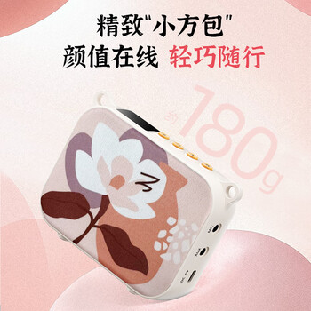 得胜（TAKSTAR）E30W 无线小蜜蜂扩音器教师专用导游喇叭腰挂便携式国风蓝牙小音箱喊话器无线讲课麦克风 柔月白
