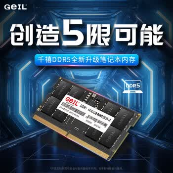 GEIL金邦 32G DDR5-4800  笔记本内存条 千禧系列
