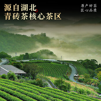 七春黑茶 湖北青砖茶430g熟茶川字便携小砖茶内蒙古熬奶茶老丈人礼物