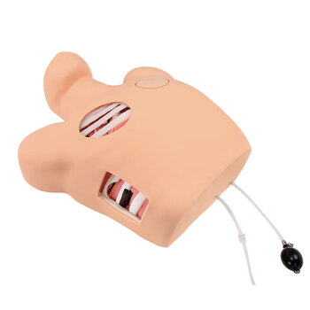 勤良胸腔穿刺引流训练模型模拟人闭式穿刺引流术教学训练模型人体穿刺训练模型气胸穿刺减压模型QL/L66