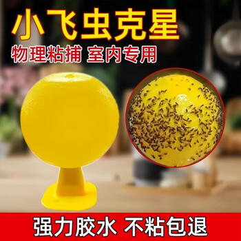 COODORA果蝇小飞虫诱捕器室内外家用粘虫球灭虫神器5个球+底座+双面胶