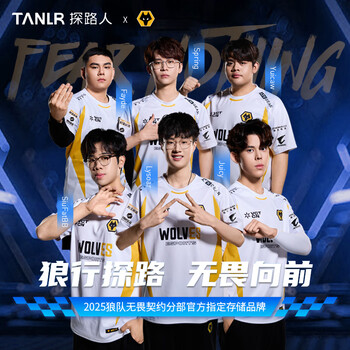 TANLR 探路人512GB SSD固态硬盘NVMe协议 M.2接口 精选TLC颗粒 一体机台式机笔记本电脑硬盘配件 金刃TN350