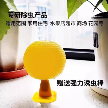 COODORA果蝇小飞虫诱捕器室内外家用粘虫球灭虫神器5个球+底座+双面胶