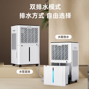 欧井（Eurgeen）除湿机/抽湿机 除湿量20升/天 适用面积40㎡ 家用地下室轻音净化干衣吸湿器 OJ-231E