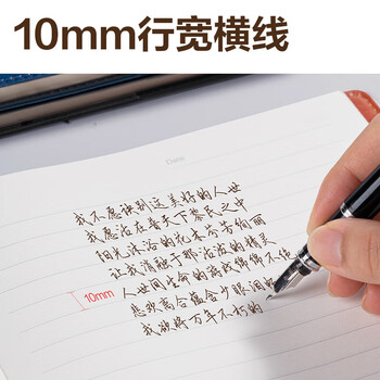 得力（deli）（HWM）商务经典皮面日记本/会议记事本/笔记本16K80张（10本/套）棕色 7900