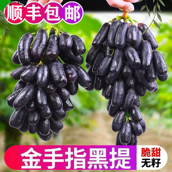 業者激安直販+冷蔵発送　豪州産約9kg 幻の葡萄　黒葡萄 手指葡萄　蓝宝石 Amazon.co.jp: B-TOPAZ ぶどう ブドウ 青森県産 完熟