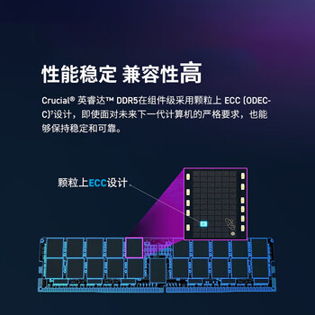 Crucial英睿达 16GB（8GB×2）套装 DDR5 4800频率 台式机内存条 美光（原镁光）原厂颗粒 AI电脑配件
