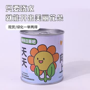 Touch Fish小学生手工DIY小盆栽材料罐装易拉罐头桌面植物科学实验奖品 心想柿成（西红柿）