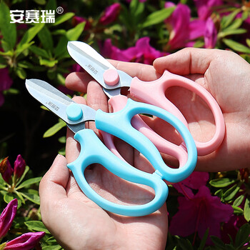 安赛瑞 不锈钢鲜花修剪刀 家用绿植盆栽修枝园艺工具 蓝色 5J00478 JC