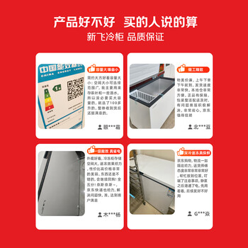 新飞（Frestec）300升单温冰柜 一级能效冷藏冷冻转换单箱顶开门卧式大容量BC/BD-300KHAT