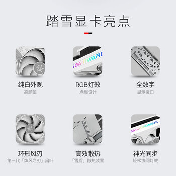 耕升GeForce RTX 5070 Ti 踏雪 OC 2.0 16G游戏显卡 DLSS 4 电竞游戏/设计剪辑/AI本地部署/直播娱乐