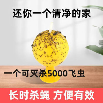 COODORA果蝇小飞虫诱捕器室内外家用粘虫球灭虫神器5个球+底座+双面胶