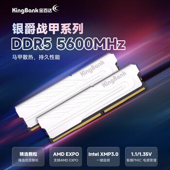 金百达（KINGBANK）32GB(16GBX2)套装 DDR5 5600 台式机内存条 银爵