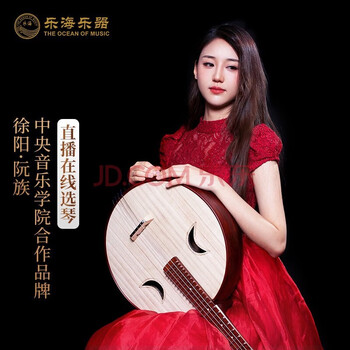 乐海中阮价格报价行情- 京东