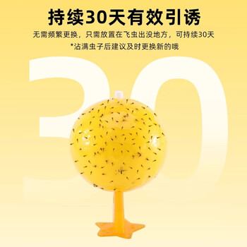 COODORA果蝇小飞虫诱捕器室内外家用粘虫球灭虫神器5个球+底座+双面胶