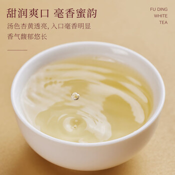 七春白毫银针 福鼎白茶50g茶叶可冷泡2021年端午节老丈人礼物自己喝