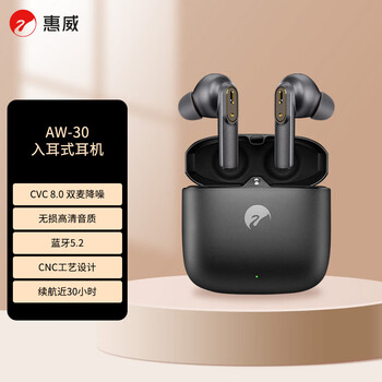 惠威(HiVi) AW-30 真无线耳机 高清通话入耳式耳机长续航蓝牙降噪耳机低延时游戏耳机 惠威(HiVi) AW-30 真无线耳机 高清通话入耳式耳机长续航蓝牙降噪耳机低延时游戏耳机